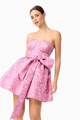 Nadeen A-Line Mini Dress in Pink