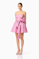 Nadeen A-Line Mini Dress in Pink